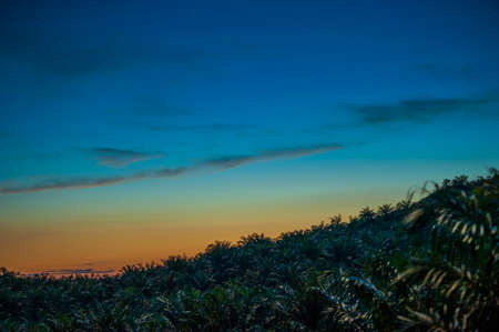 blue hourの写真素材