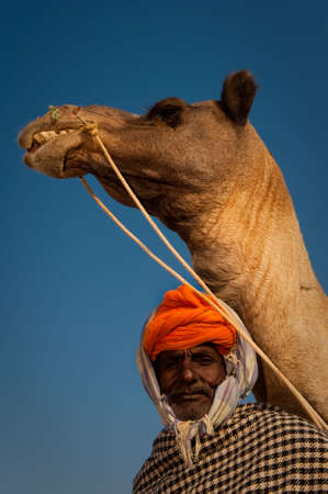 Elderly rajasthani man with a camel at the Pushkar Camel Fair 2009.のeditorial素材