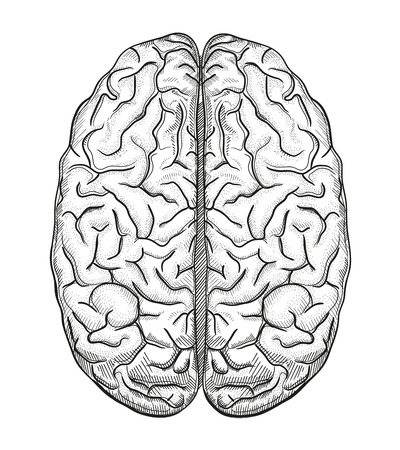 Brain aのイラスト素材