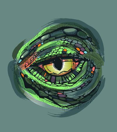 Hand drawn vector illustrattion or drawing of a reptile?s eyeのイラスト素材