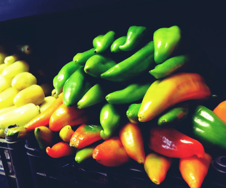 Chiliの写真素材