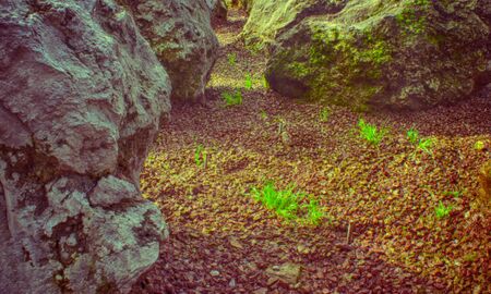 Photograph of some rocksの写真素材
