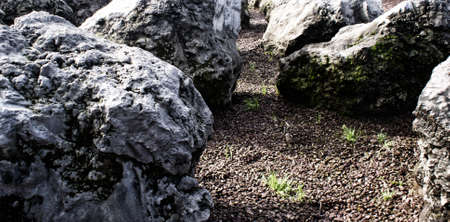 Photograph of some rocksの写真素材
