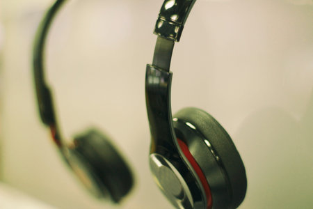 Photograph of a pair of earphones
