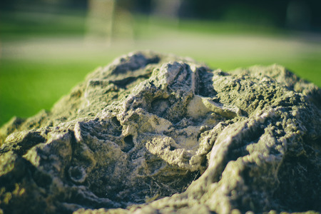 Photgoraph of a rock on a nature blurred backgroundの写真素材