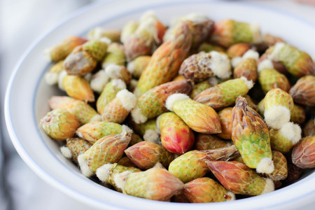 Photograph of some rare vegetables named cabuches, in a plateの写真素材
