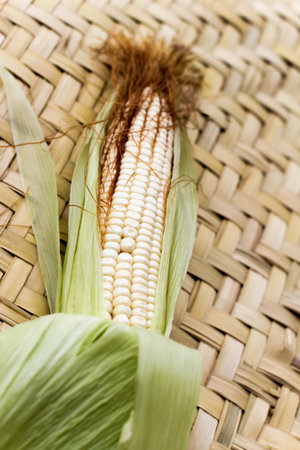 Photograph of a raw corn plant on a petate