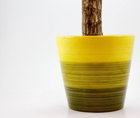 Photograph of a yellow pot with stripped patternの写真素材