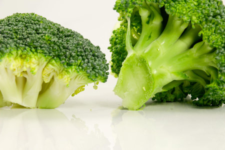 Photograph of broccoli on white background