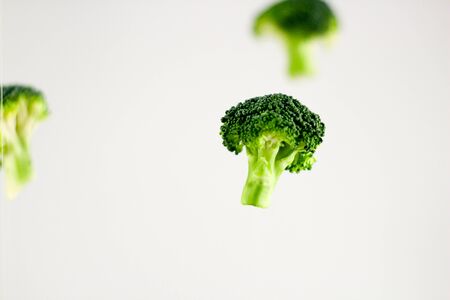 Photograph of broccoli on white backgroundの写真素材
