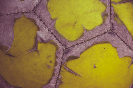 Photograph of an old soccer ballの写真素材