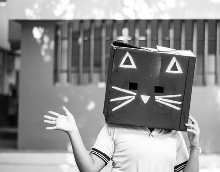 Photograph of a teen with a black cat carton box maskの写真素材