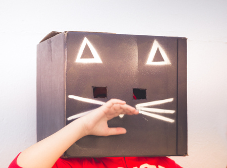 Photograph of a teen with a black cat carton box maskの写真素材