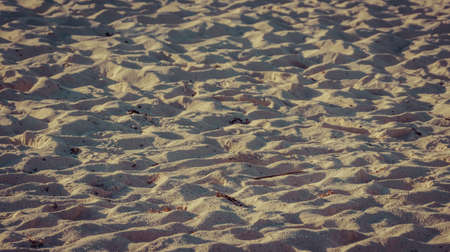 Photograph of a beach sand texture or backgroundの写真素材