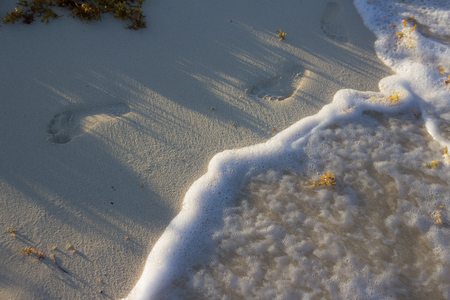 Photograph of some footprints on the beachの写真素材