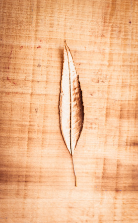Photograph of a golden painted leaf detailの写真素材