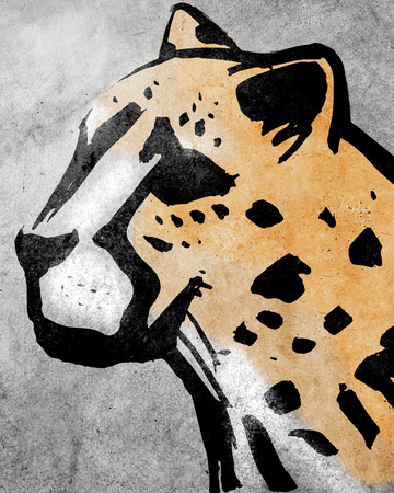 Hand drawn illustration or drawing of a cheeta headの写真素材