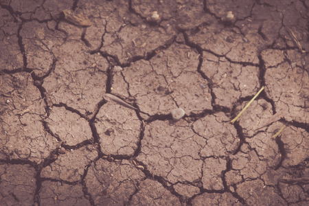 Photograph of a cracked earth surface background or textureの写真素材
