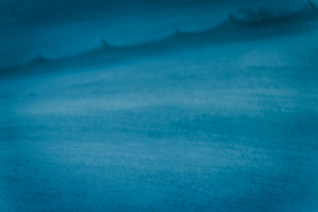 Photograph of an agave plant texture or backgroundの写真素材