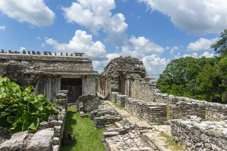 Palenque, Chiapas / Mexico - 21/07/2019: Detail of the archaeological pre hispanic mayan site of...
