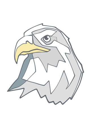 Hand drawn illustration or drawing of an eagle headのイラスト素材