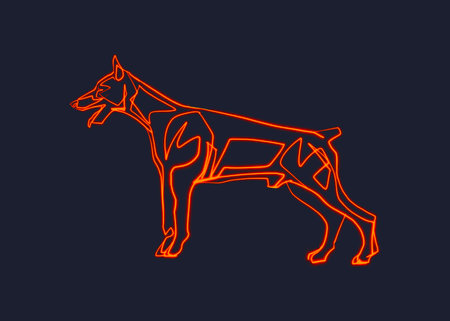 Hand drawn minimal illustration or drawing of a doberman dogの写真素材