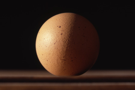 still life with eggの写真素材