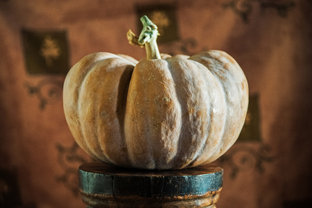 Photo of a pumpkin close-up on a wooden stand on his chestnut brownの写真素材