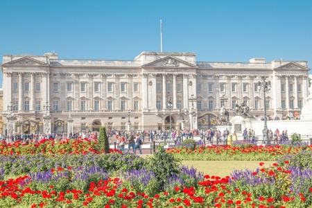 In the background the picture shows the Buckingham Palace.In the foreground there are some beautiful flowers.のeditorial素材