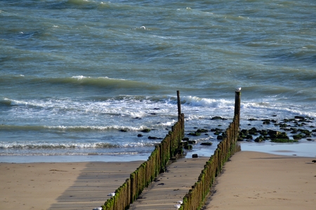 Groynes into the sea on the Dutch coastの写真素材