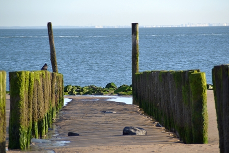 View through a double row of groynesの写真素材
