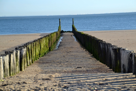 View through a double row of groynesの写真素材