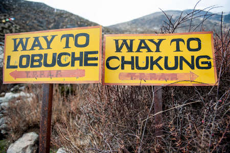 A yellow sign in front of a forestの写真素材