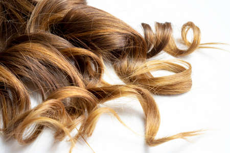 piece of brown curly shiny hair on white isolated backgroundの写真素材