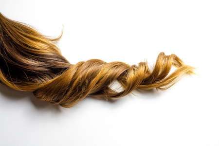 brown curly ponytail shiny balayage hair on white isolated backgroundの写真素材