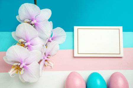 Pink blue easter eggs on pastel color background with space for text lace and orchid