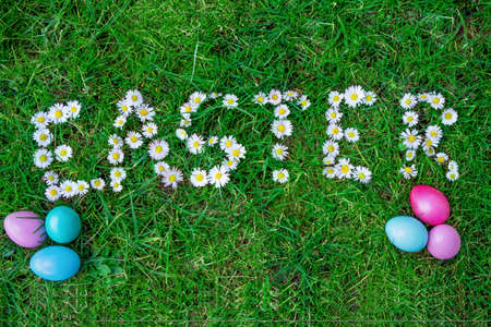 common Daisy flowers in easter text form with easter eggsの写真素材