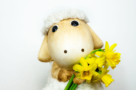 easter sheep toy with narcissi daffodil in her hand with white backgroundの写真素材