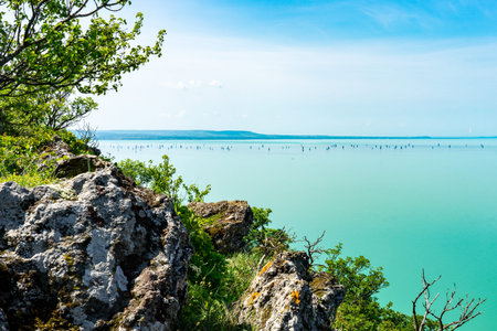 Arial panoramic view of Balatonの写真素材