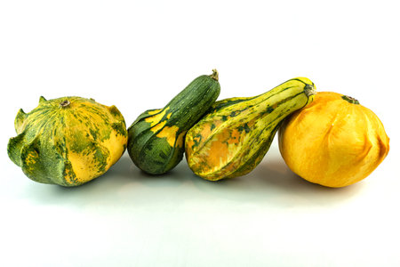 decoration pumpkins in a row on white isolated background .