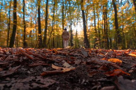woman walking in seasonal colorful beautiful autumn forest with backlight artistic blurry .