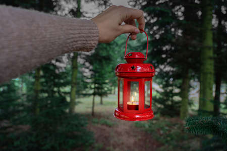 woman holding red christmas lantern at dusk in pine forest christmas mood .の写真素材