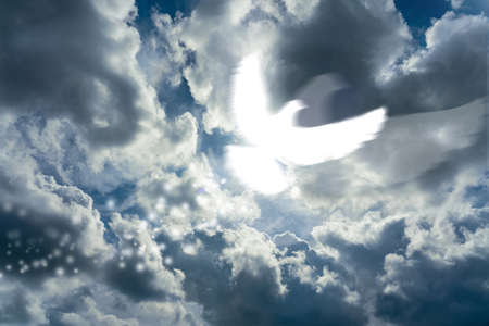 motion blurred pigon in the sky as a symbolof holy spirit pentecost concept .の写真素材