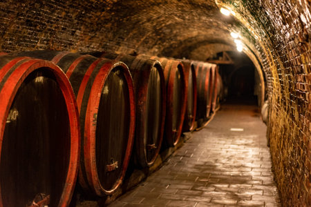 wooden old barrels in the rustic wine cellar with brick walls in villany hungary .