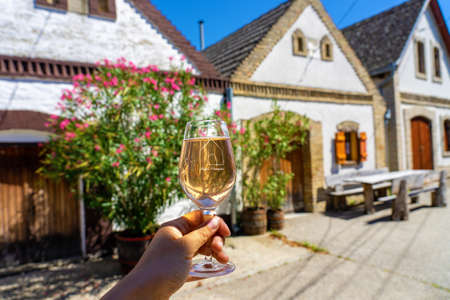 Hajos, Hungary - 08.21.2020: drinking rose wine with soda in Hajos cellar village on a terrace with roof tops pincefalu means cellar village .のeditorial素材