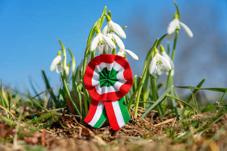 close up tricolor rosette symbol of the hungarian national day 15th of march with snowdrop fair maid flowerの写真素材