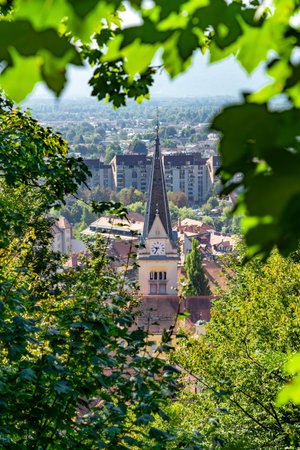 View from Ljubljanas castle park with trees hugging the Church of St. Jamesの写真素材