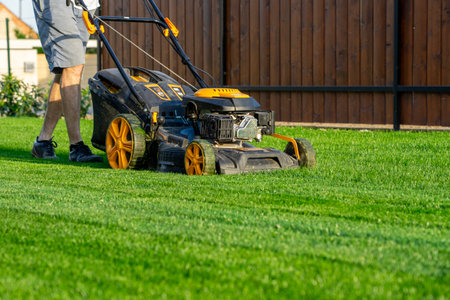 green grass cutting with lawn mower in home gardenの写真素材