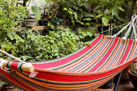 Hammock in a garden to read a book, relax and chillの写真素材