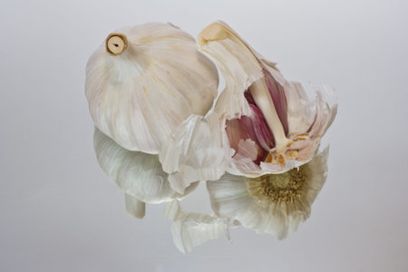 Garlic